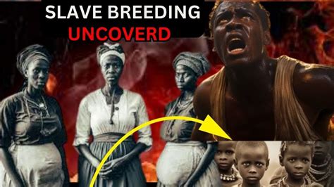 forcebreeding .